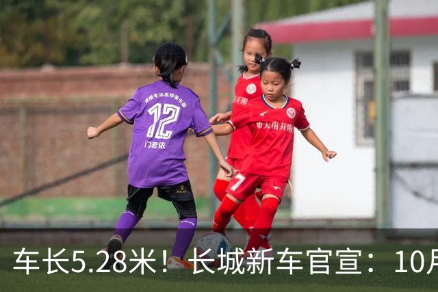 车长5.28米！长城新车官宣：10月19日开启预售