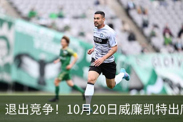退出竞争！10月20日威廉凯特出席公务，哈里梅根的在职说不攻自破